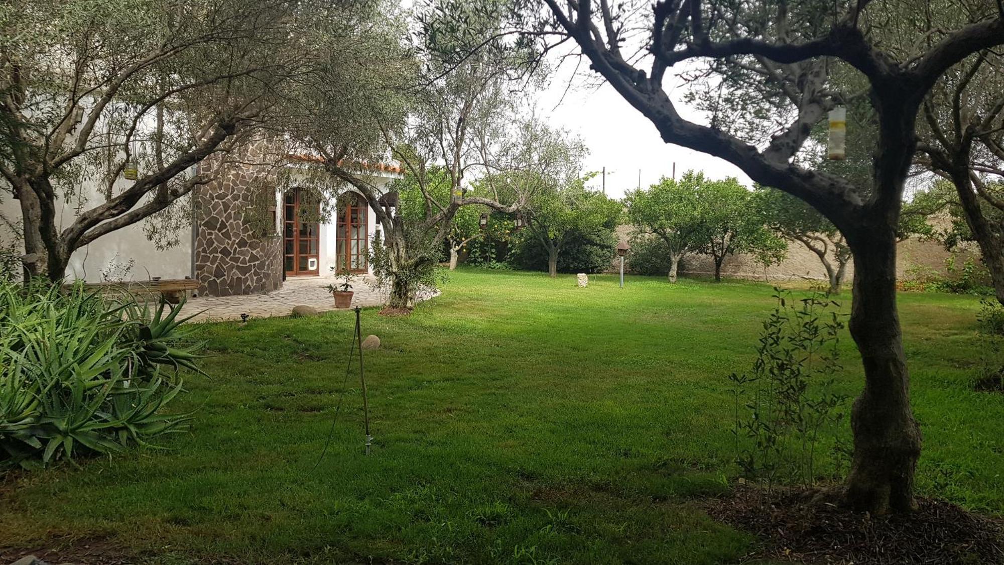 Apartamento Il Giardino Di Frafa Quartu SantʼElena Exterior foto