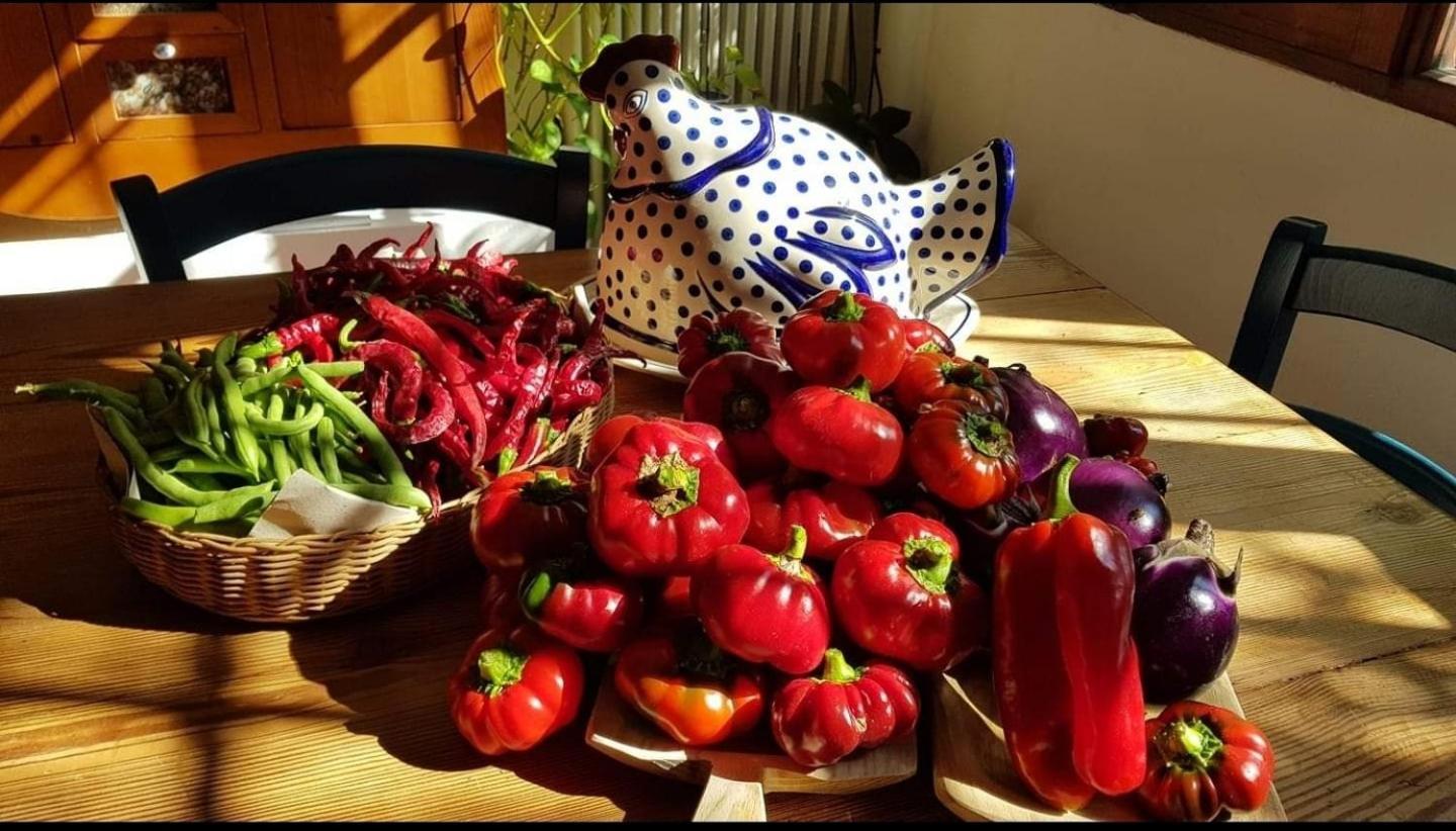 Apartamento Il Giardino Di Frafa Quartu SantʼElena Exterior foto