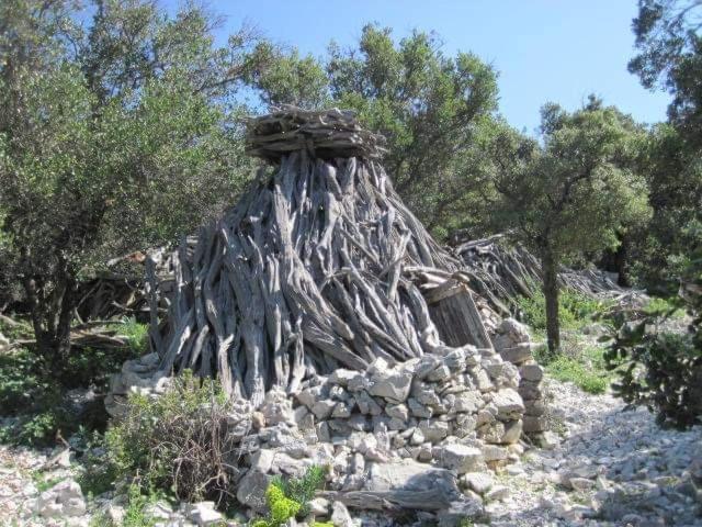 Apartamento Il Giardino Di Frafa Quartu SantʼElena Exterior foto